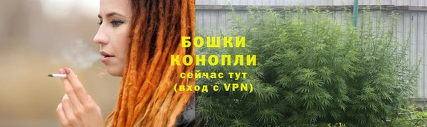 прущая мука Няндома
