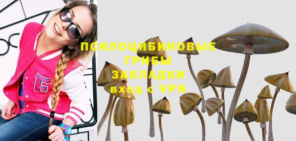 прущая мука Няндома