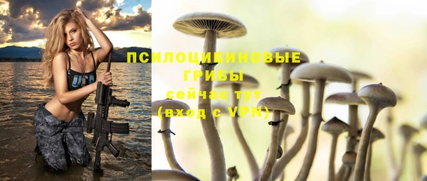 прущая мука Няндома