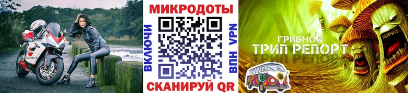 сколько стоит Балашов Галлюциногенные грибы Cubensis