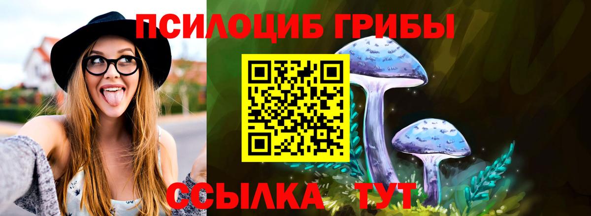 Балашов  Галлюциногенные грибы Psilocybe  Вход с VPN 
