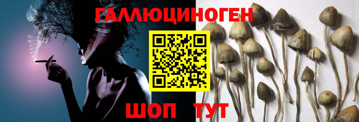Мяу-Мяу  Балашов  Марки  Лсд 25  COCAIN  Вход с VPN  Cocaine  Бошки Шишки  MDMA  ГАШ 